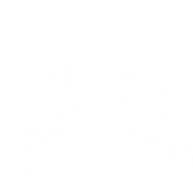 250 Professionals